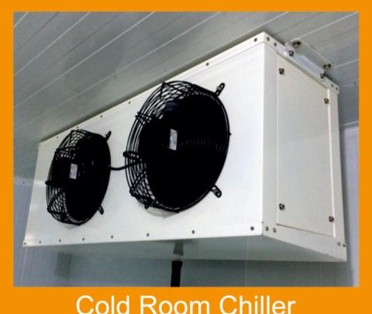 Cold room chiller unit with dual fans